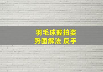 羽毛球握拍姿势图解法 反手